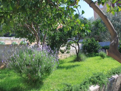 Apartment One bedroom apartment with terrace Trogir A-8683-b - Outdoor photo 7