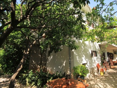 Apartment One bedroom apartment with balcony Jelsa, Hvar A-8750-a - Outdoor photo 3