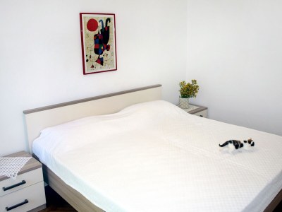 Apartment One bedroom apartment with balcony Jelsa, Hvar A-8750-a - Outdoor photo 13