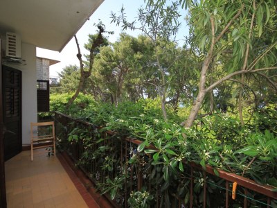 Apartment One bedroom apartment with balcony Jelsa, Hvar A-8750-a - Outdoor photo 16