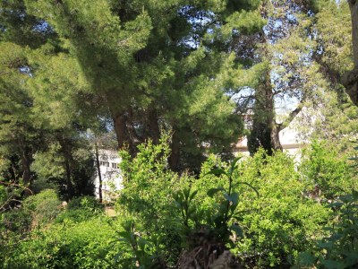 Apartment One bedroom apartment with balcony Jelsa, Hvar A-8750-a - Outdoor photo 19