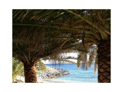 Holiday room near beach Hvar S-8785-a - Outdoor photo 5