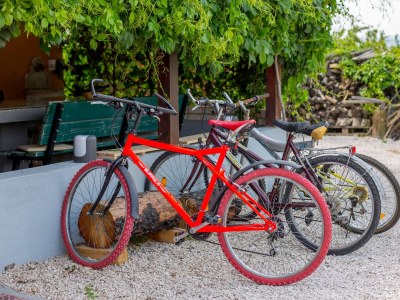 Holiday house Four-bedroom house with terrace Opuzen, Neretva Delta - Ušće Neretve K-8818 - Outdoor photo 19