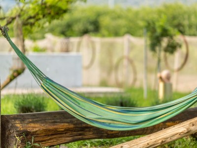 Holiday house Four-bedroom house with terrace Opuzen, Neretva Delta - Ušće Neretve K-8818 - Outdoor photo 20