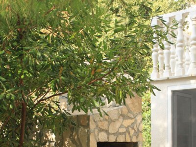 Apartment Two bedroom apartment with terrace and sea view Milna, Vis A-8895-a - Outdoor photo 10