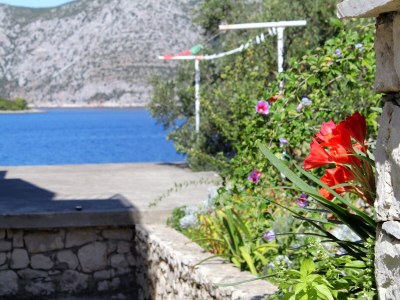 Apartment Apartments by the sea Kneža, Korčula - 9166 - Apartments by the sea Kneža, Korčula - 9166 - Outdoor photo 10