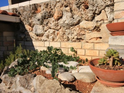 Apartment Two bedroom apartment near beach Cove Stratinčica, Korčula A-9264-a - Outdoor photo 10