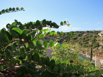 Apartment Two bedroom apartment near beach Cove Stratinčica, Korčula A-9264-a - Outdoor photo 11