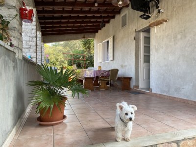 Apartment Two bedroom apartment near beach Cove Stratinčica, Korčula A-9264-a - Outdoor photo 28