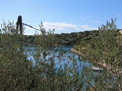 Apartment Two bedroom apartment near beach Cove Stratinčica, Korčula A-9264-a - Outdoor photo 29