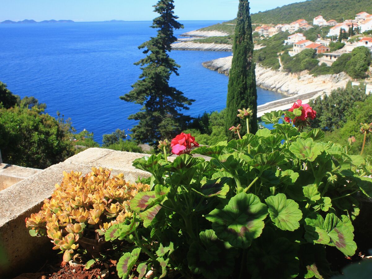Apartment Two bedroom apartment with terrace and sea view Zavalatica, Korčula A-9690-c - Outdoor photo 5