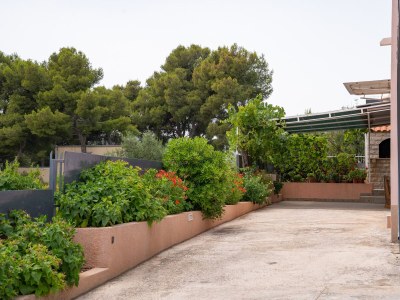 Apartment Apartments by the sea Poljica, Trogir - 11103 - Apartments by the sea Poljica, Trogir - 11103 - Outdoor photo 12