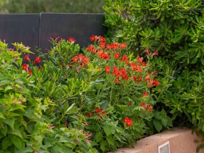 Apartment Apartments by the sea Poljica, Trogir - 11103 - Apartments by the sea Poljica, Trogir - 11103 - Outdoor photo 13