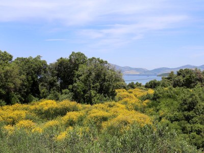 Apartment One bedroom apartment with terrace Drače, Pelješac A-10127-b - Outdoor photo 16