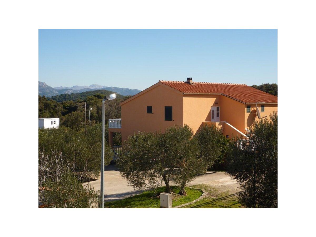 Apartment One bedroom apartment with terrace Drače, Pelješac A-10127-c