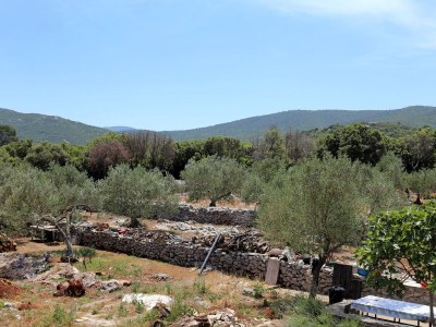 Apartment One bedroom apartment with terrace Drače, Pelješac A-10127-c - Outdoor photo 16