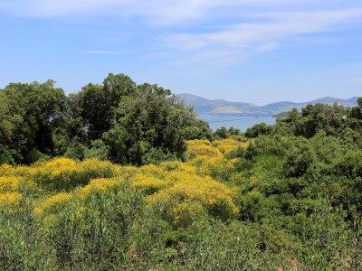 Apartment Studio flat with terrace Drače, Pelješac AS-10127-a - Outdoor photo 14