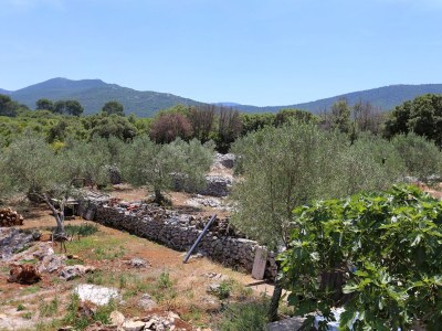 Apartment Studio flat with balcony Drače, Pelješac AS-10127-b - Outdoor photo 14