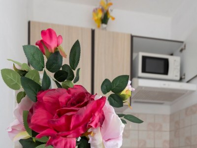 Apartment One bedroom apartment near beach Žuronja, Pelješac A-10137-a - Outdoor photo 13