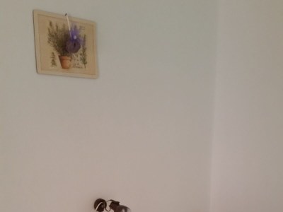 Apartment Four-bedroom apartment near beach Sveta Nedilja, Hvar A-11433-c - Outdoor photo 14