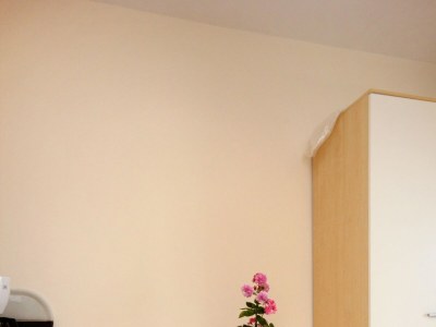 Apartment Studio flat with terrace and sea view Orebić, Pelješac AS-10423-a - Outdoor photo 8