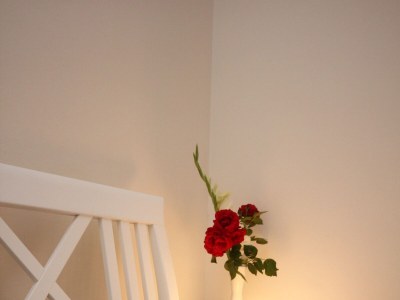 Apartment Studio flat with terrace Orebić, Pelješac AS-10423-b - Outdoor photo 13