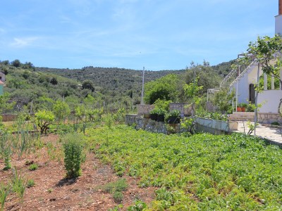 Apartment Apartments by the sea Vinišće, Trogir - 11029 - Outdoor photo 14