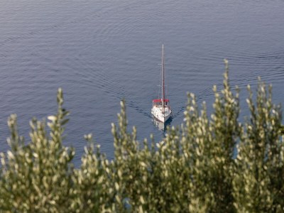 Apartment One bedroom apartment with balcony and sea view Mimice, Omiš A-11045-a - Outdoor photo 25