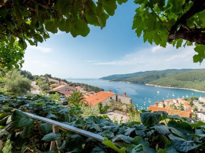 Apartment Two bedroom apartment with terrace and sea view Rabac, Labin A-12107-c - Outdoor photo 24