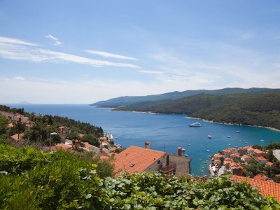 Apartment One bedroom apartment with terrace and sea view Rabac, Labin A-12107-d - Outdoor photo 22