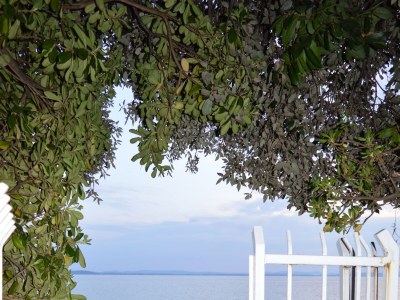 Apartment One bedroom apartment near beach Kožino, Zadar A-13085-a - Outdoor photo 6