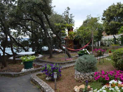 Apartment One bedroom apartment near beach Kožino, Zadar A-13085-a - Outdoor photo 22