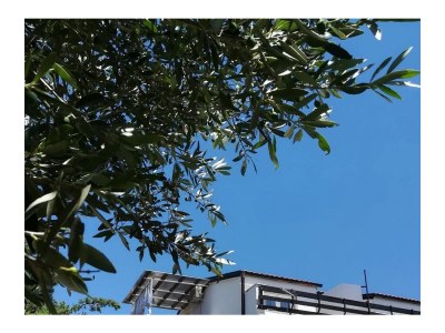 Apartment One bedroom apartment with terrace Novi Vinodolski A-15292-b - Outdoor photo 2