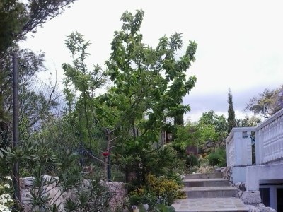 Apartment One bedroom apartment with terrace Novi Vinodolski A-15292-b - Outdoor photo 8