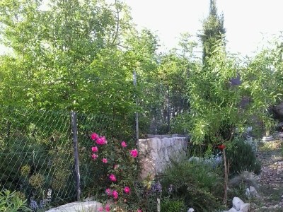 Apartment One bedroom apartment with terrace Novi Vinodolski A-15292-b - Outdoor photo 9