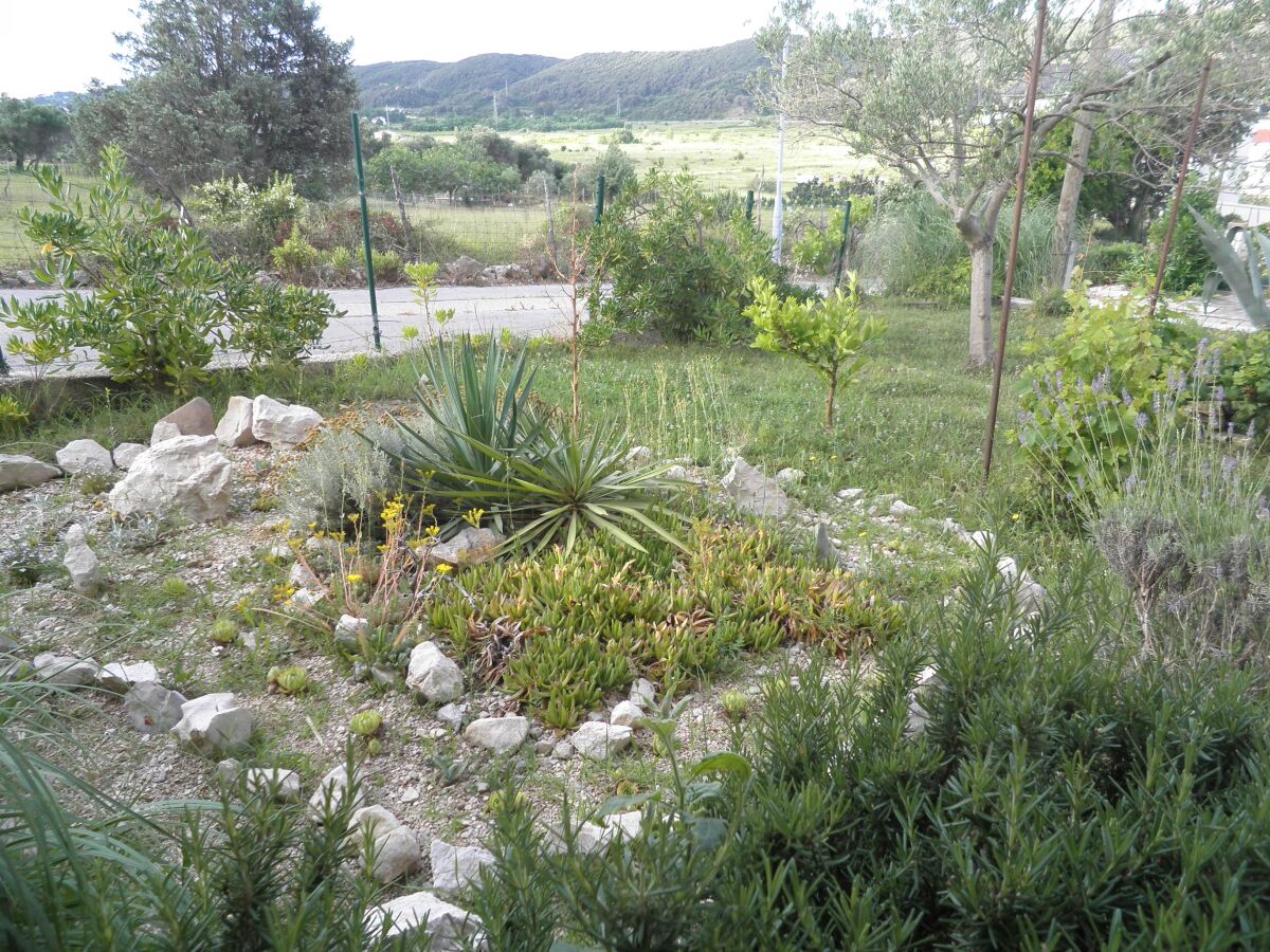 Apartment Two bedroom apartment with terrace and sea view Supetarska Draga - Donja, Rab A-15423-a - Outdoor photo 5