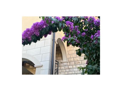 Apartment Three bedroom apartment with terrace and sea view Supetar, Brač A-13165-b - Outdoor photo 3