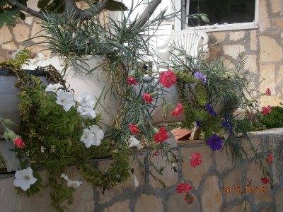 Apartment One bedroom apartment near beach Cove Kalebova Luka, Rogoznica A-13712-a - Outdoor photo 8