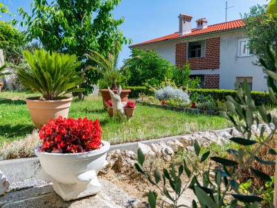 Apartment One bedroom apartment with terrace and sea view Rab A-14120-a - Outdoor photo 12