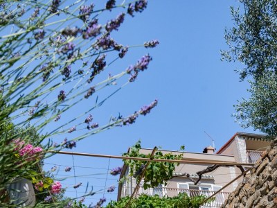 Apartment One bedroom apartment with balcony and sea view Rab A-14120-b - Outdoor photo 9