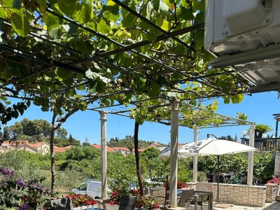 Apartment Two bedroom apartment with terrace Trpanj, Pelješac A-16004-b - Outdoor photo 19