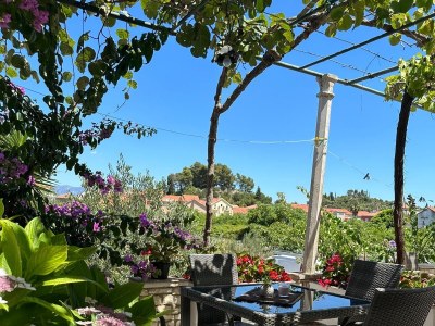 Apartment Two bedroom apartment with terrace Trpanj, Pelješac A-16004-b - Outdoor photo 20