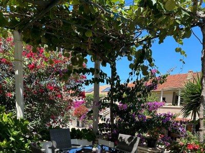 Apartment Two bedroom apartment with terrace Trpanj, Pelješac A-16004-b - Outdoor photo 21