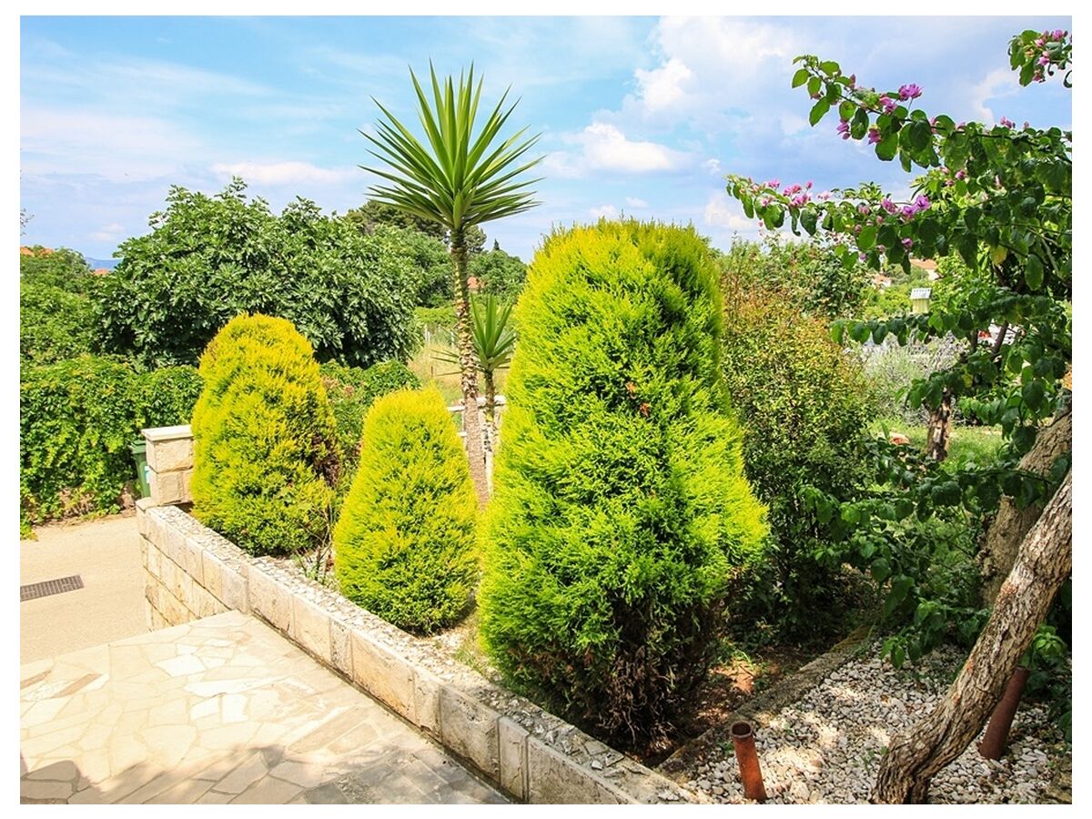 Apartment Studio flat with terrace Trpanj, Pelješac AS-16004-b - Outdoor photo 3