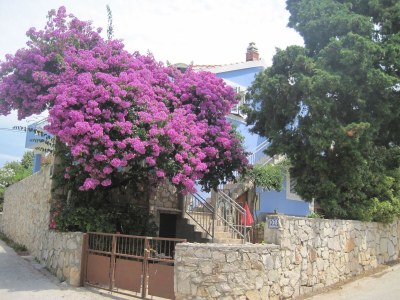 Apartment Three bedroom apartment near beach Maslinica, Šolta A-14748-a in Maslinica - Apartment