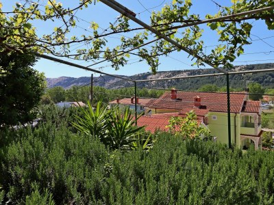 Apartment One bedroom apartment with terrace Lopar, Rab A-14804-a - Outdoor photo 24