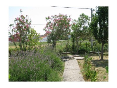 Apartment One bedroom apartment with terrace Palit, Rab A-16356-a - Outdoor photo 7