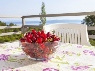 Apartment Four-bedroom apartment with balcony and sea view Gornji Tučepi, Makarska A-17686-a - Outdoor photo 65