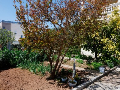 Apartment One bedroom apartment with terrace Vodice A-16543-b - Outdoor photo 8