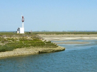 Apartment Beachside Flat with Sunny Patio - Outdoor photo 14